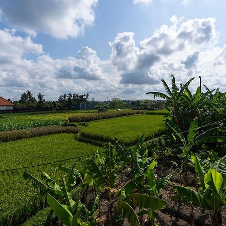 فيلا Oemah Joglo Bali أوبود المظهر الخارجي الصورة
