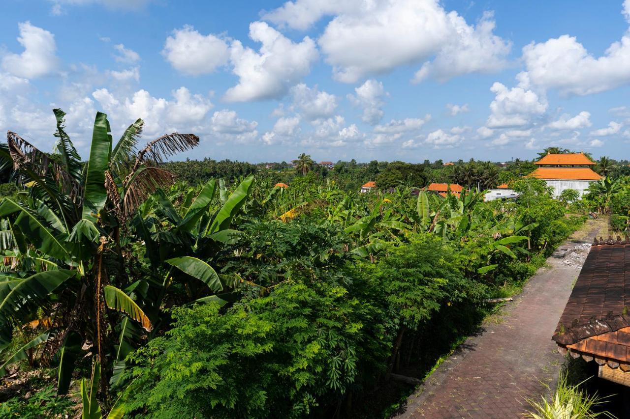 فيلا Oemah Joglo Bali أوبود المظهر الخارجي الصورة