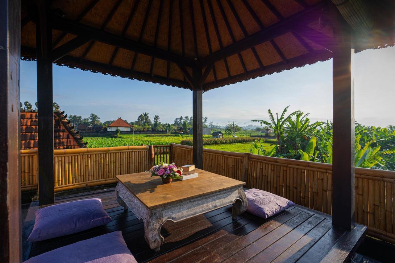 فيلا Oemah Joglo Bali أوبود المظهر الخارجي الصورة